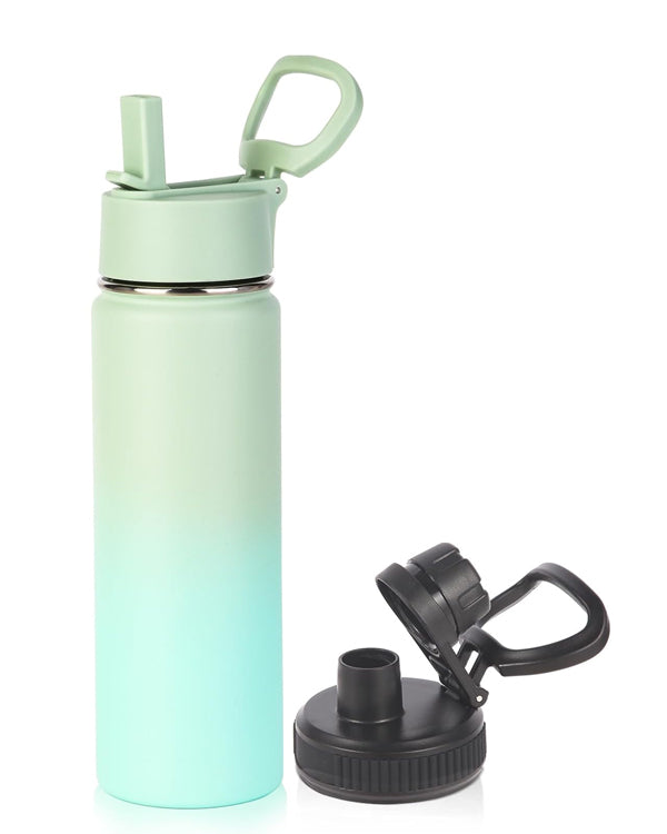 20oz Insulated Stainless Steel Water Bottle