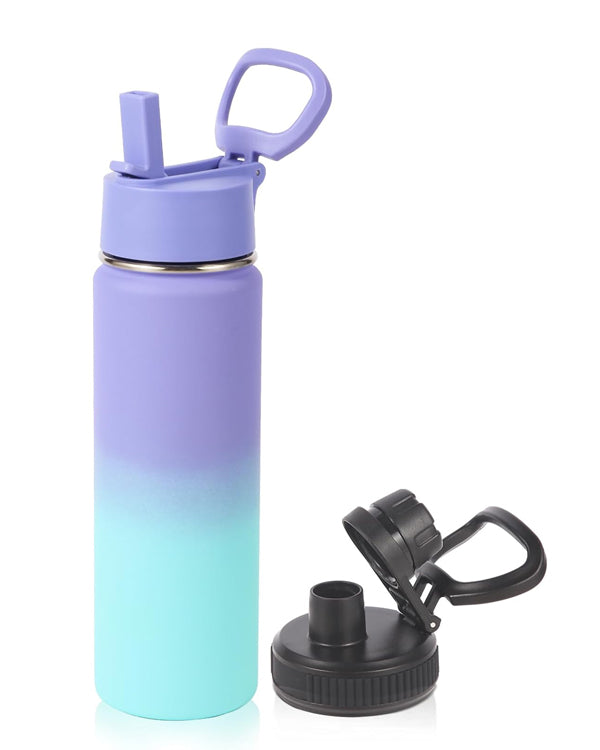 20oz Insulated Stainless Steel Water Bottle