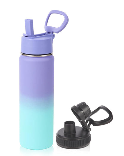 20oz Insulated Stainless Steel Water Bottle